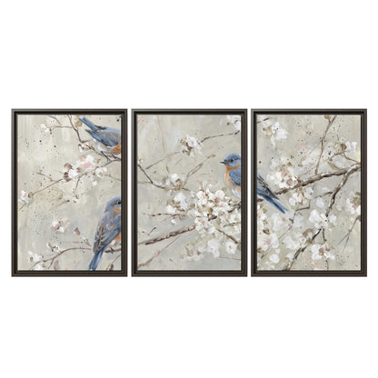 Bluebirds perched on delicate white flowering branches against pale sage 3 piece framed canvas wall art viewed straight on