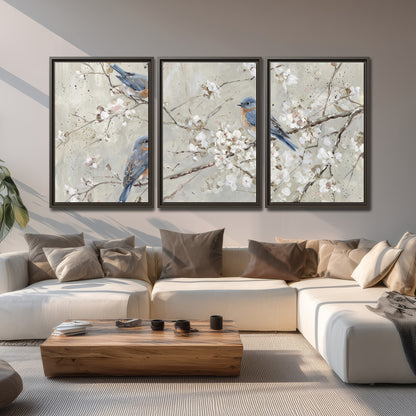 Bluebirds perched on delicate white flowering branches against pale sage 3 piece framed canvas wall art displayed in a living room