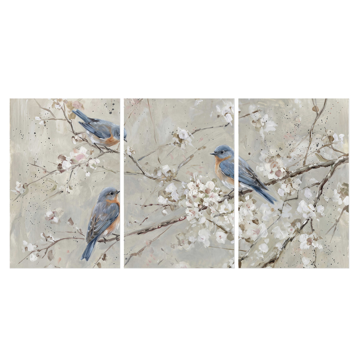 Bluebirds perched on delicate white flowering branches against pale sage set of 3 poster prints viewed straight on