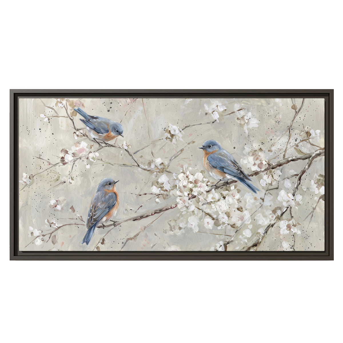 Bluebirds perched on delicate white flowering branches against pale sage single framed canvas wall art viewed straight on