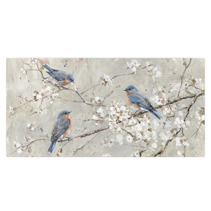 Bluebirds perched on delicate white flowering branches against pale sage single poster print viewed straight on