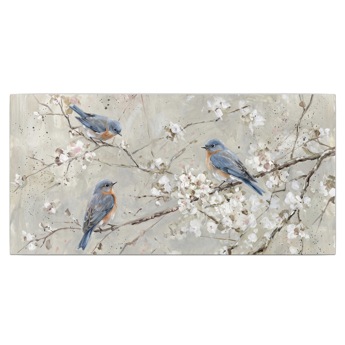 Bluebirds perched on delicate white flowering branches against pale sage single canvas wall art viewed straight on