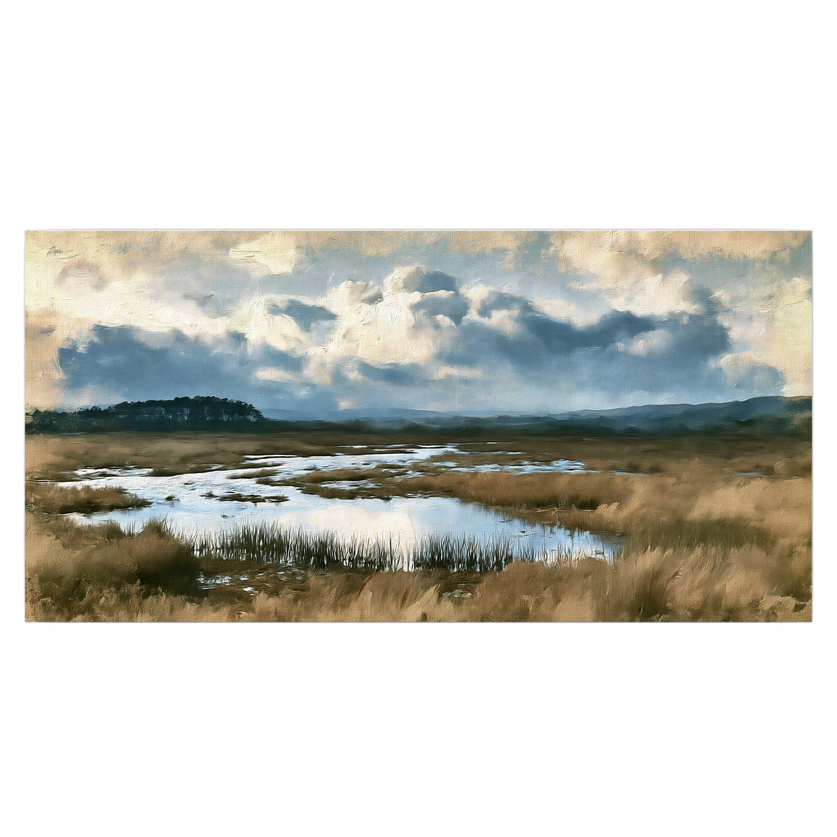A wide open marsh with blue water and warm grasses beneath layered clouds single poster print viewed straight on