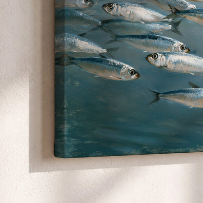 A school of silver fish moving together through cool blue water 3 piece canvas wall art material and edge close up