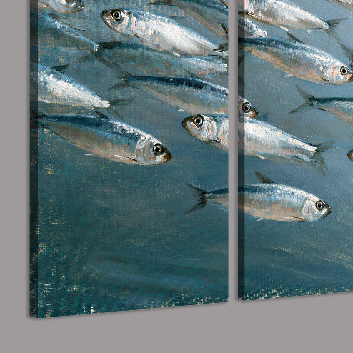 A school of silver fish moving together through cool blue water 3 piece canvas wall art room and product view