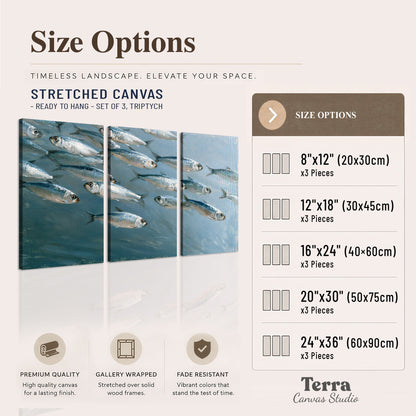 A school of silver fish moving together through cool blue water 3 piece canvas wall art available dimensions; triptych dimensions are per panel
