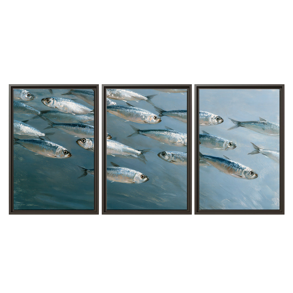 A school of silver fish moving together through cool blue water 3 piece framed canvas wall art viewed straight on