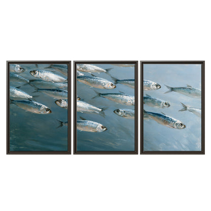 A school of silver fish moving together through cool blue water 3 piece framed canvas wall art viewed straight on