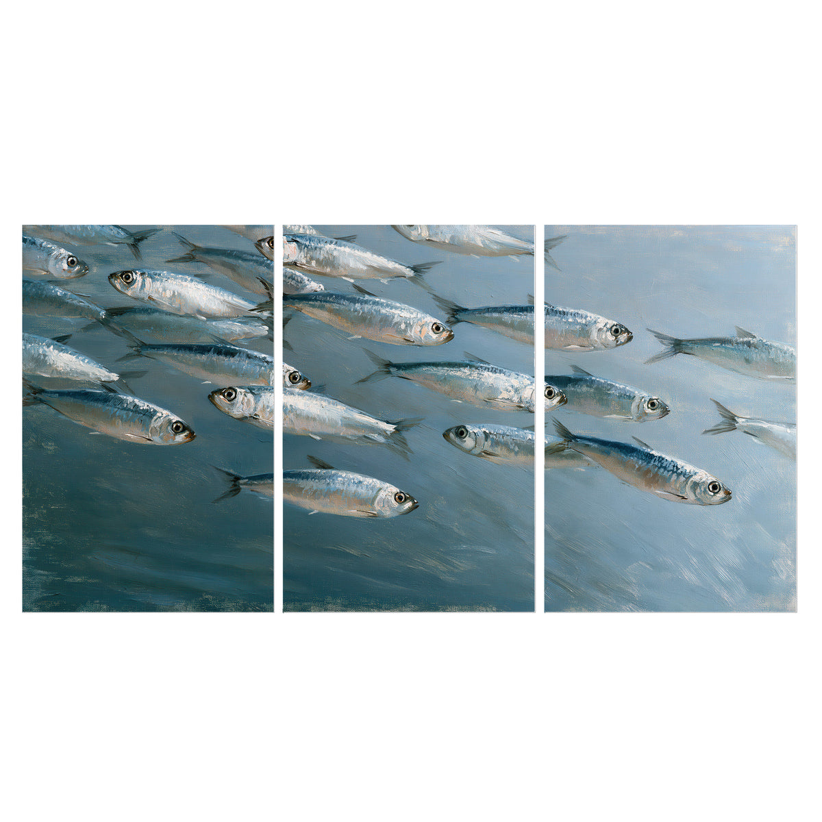 A school of silver fish moving together through cool blue water set of 3 poster prints viewed straight on