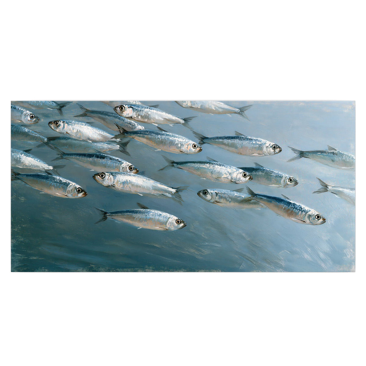 A school of silver fish moving together through cool blue water single poster print viewed straight on