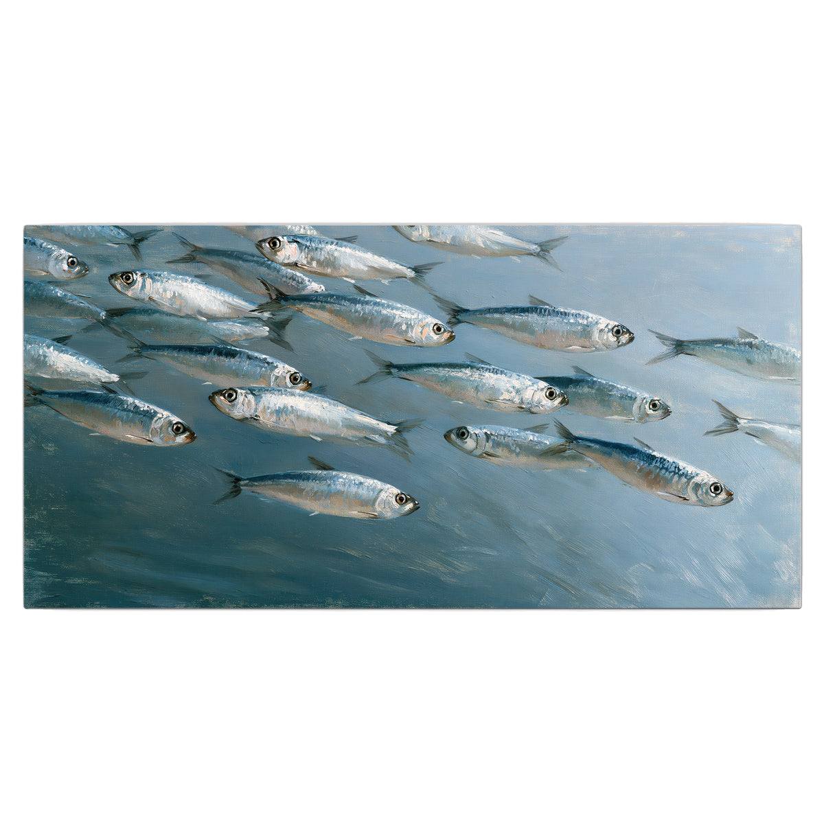 A school of silver fish moving together through cool blue water single canvas wall art viewed straight on
