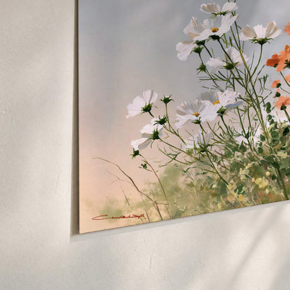 White and orange meadow flowers with fine green stems under a pale sky set of 3 poster prints material and edge close up