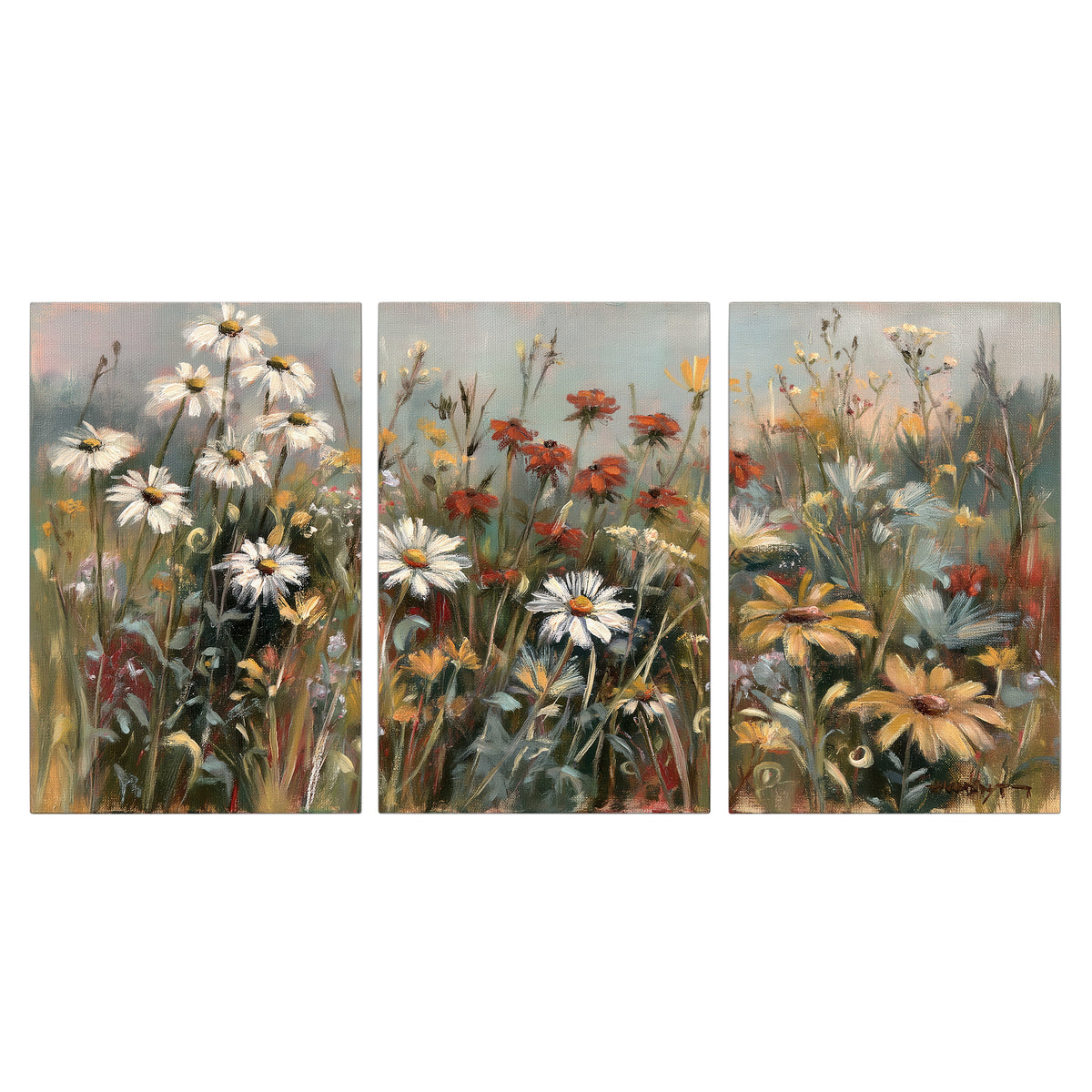 White daisies, rust blooms and long grasses in a softly shadowed meadow 3 piece canvas wall art viewed straight on