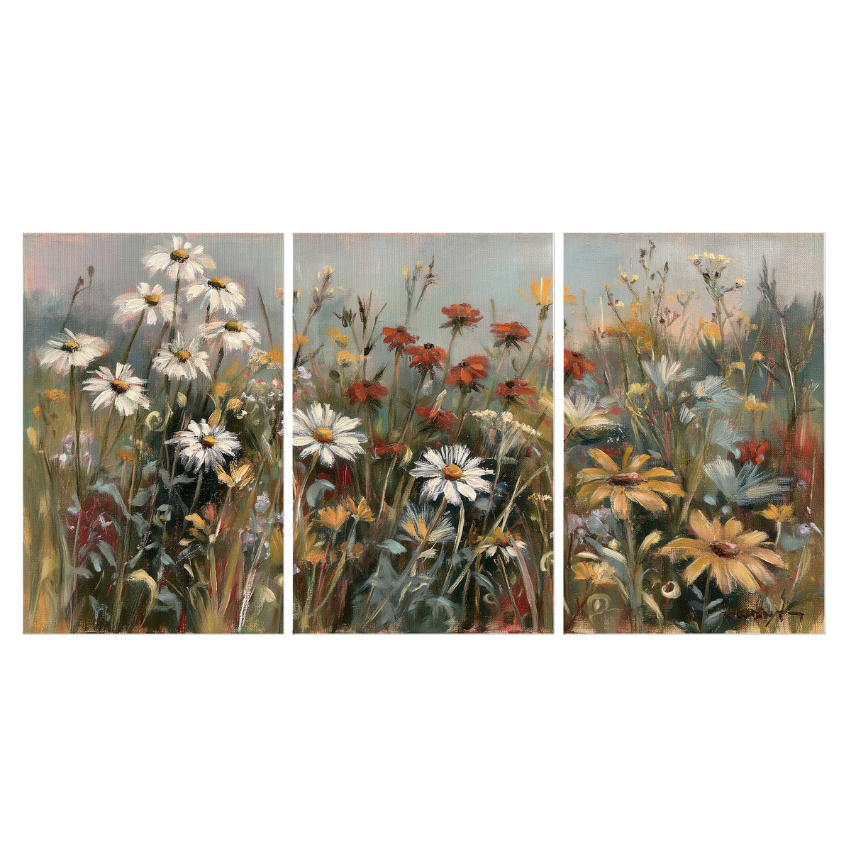 White daisies, rust blooms and long grasses in a softly shadowed meadow set of 3 poster prints viewed straight on
