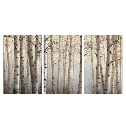 Pale birch trunks and delicate bare branches in a soft neutral woodland 3 piece canvas wall art viewed straight on