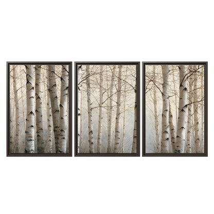 Pale birch trunks and delicate bare branches in a soft neutral woodland 3 piece framed canvas wall art viewed straight on