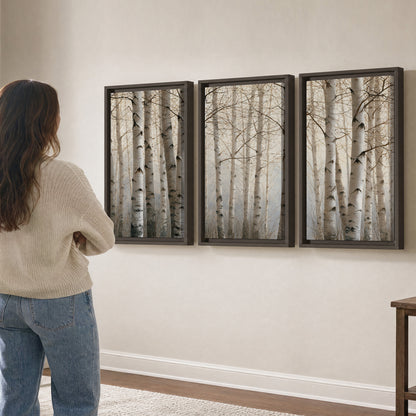 Pale birch trunks and delicate bare branches in a soft neutral woodland 3 piece framed canvas wall art three panel arrangement on a wall