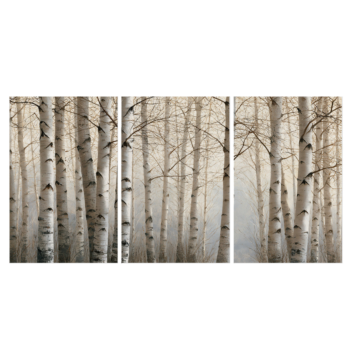Pale birch trunks and delicate bare branches in a soft neutral woodland set of 3 poster prints viewed straight on