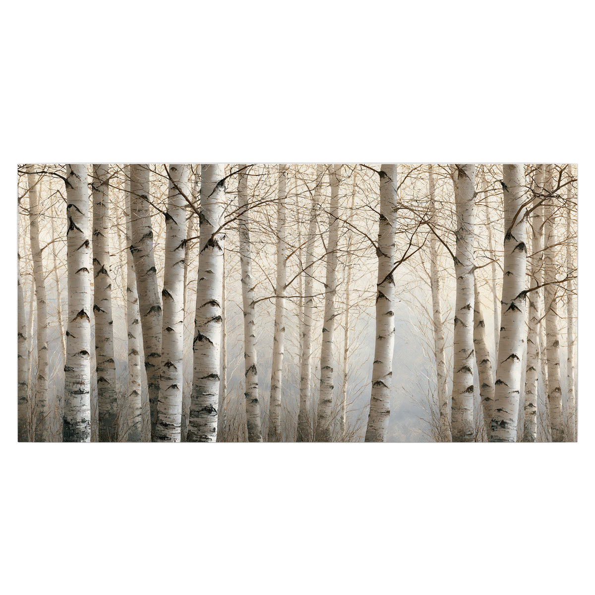 Pale birch trunks and delicate bare branches in a soft neutral woodland single poster print viewed straight on