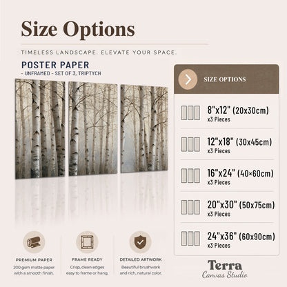 Pale birch trunks and delicate bare branches in a soft neutral woodland set of 3 poster prints available dimensions; triptych dimensions are per panel