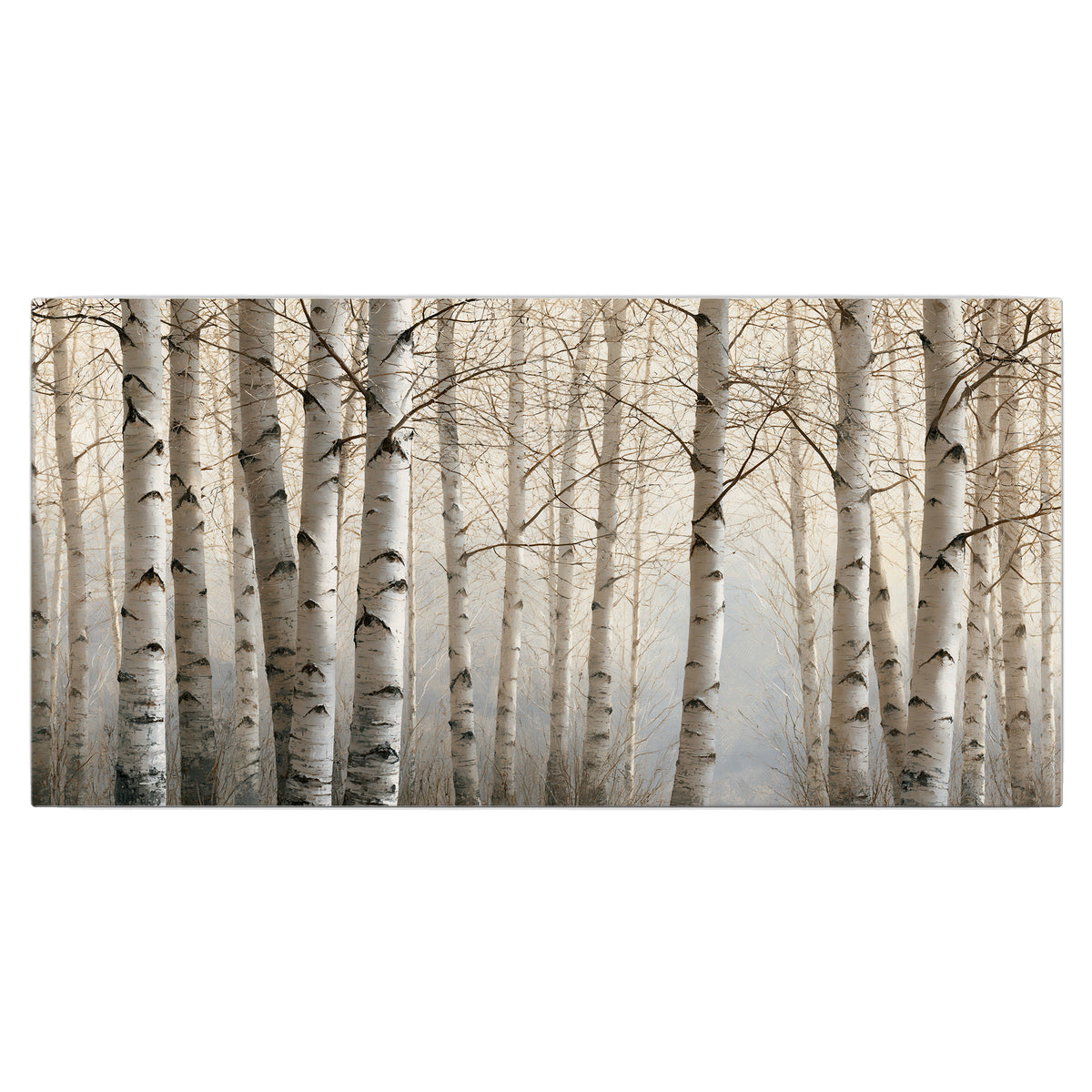 Pale birch trunks and delicate bare branches in a soft neutral woodland single canvas wall art viewed straight on