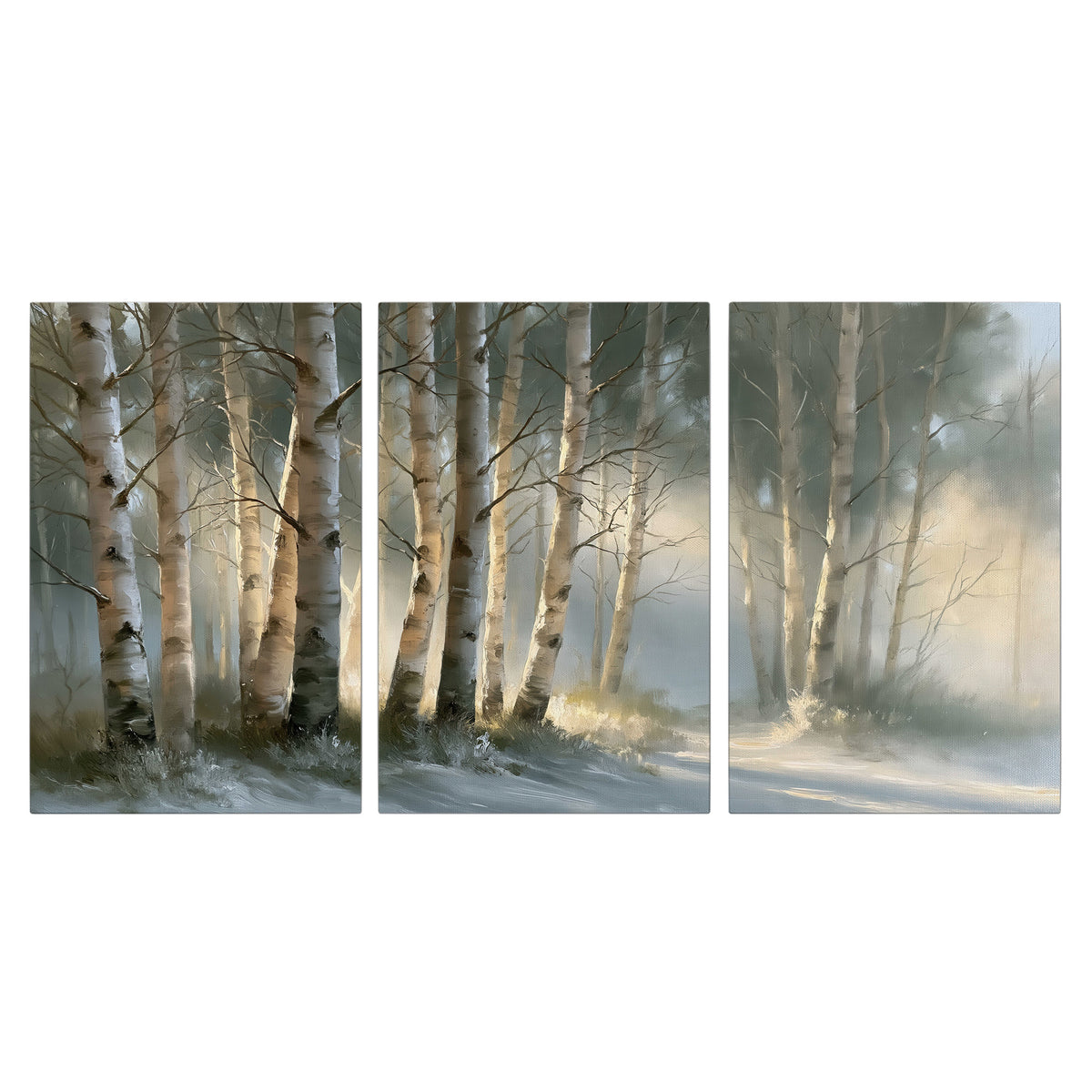 A softly lit woodland path winding between pale birch trunks 3 piece canvas wall art viewed straight on