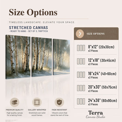 A softly lit woodland path winding between pale birch trunks 3 piece canvas wall art available dimensions; triptych dimensions are per panel
