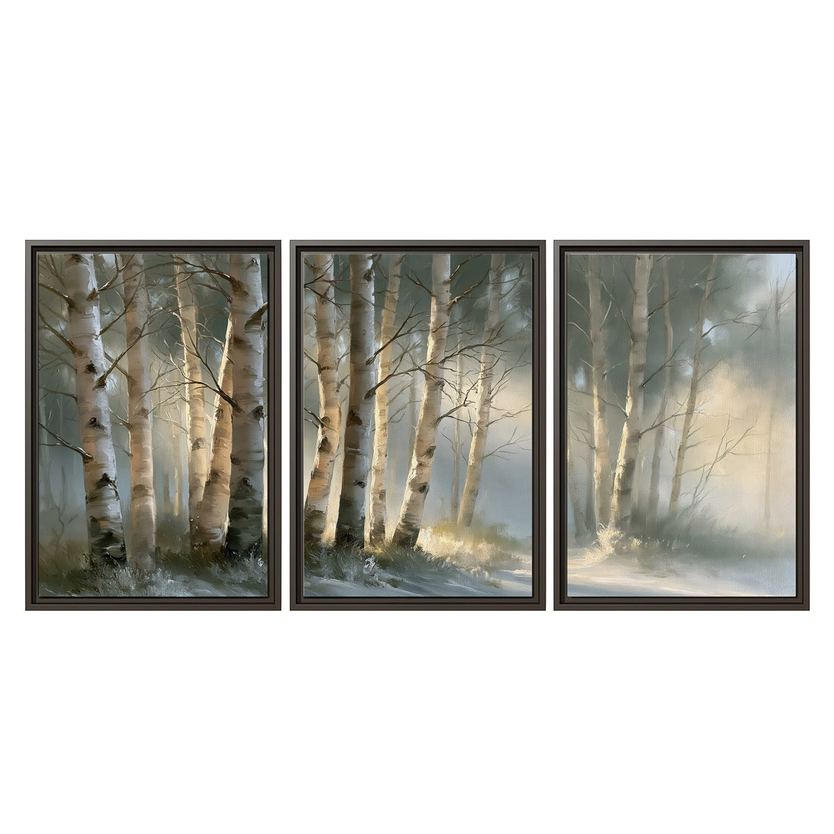 A softly lit woodland path winding between pale birch trunks 3 piece framed canvas wall art viewed straight on