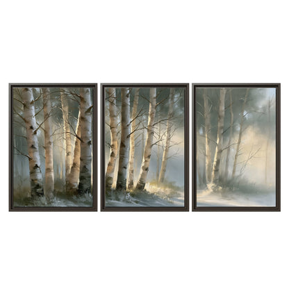 A softly lit woodland path winding between pale birch trunks 3 piece framed canvas wall art viewed straight on