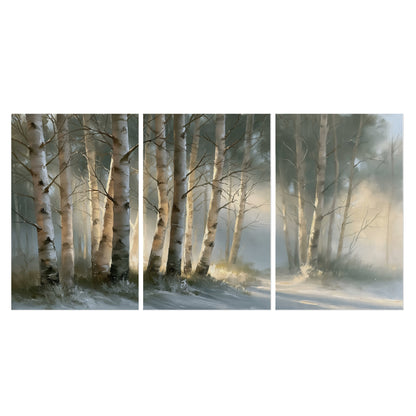 A softly lit woodland path winding between pale birch trunks set of 3 poster prints viewed straight on