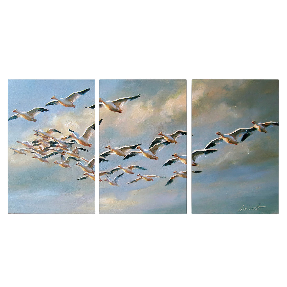 A flock of pale seabirds gliding beneath soft clouds across a blue sky 3 piece canvas wall art viewed straight on