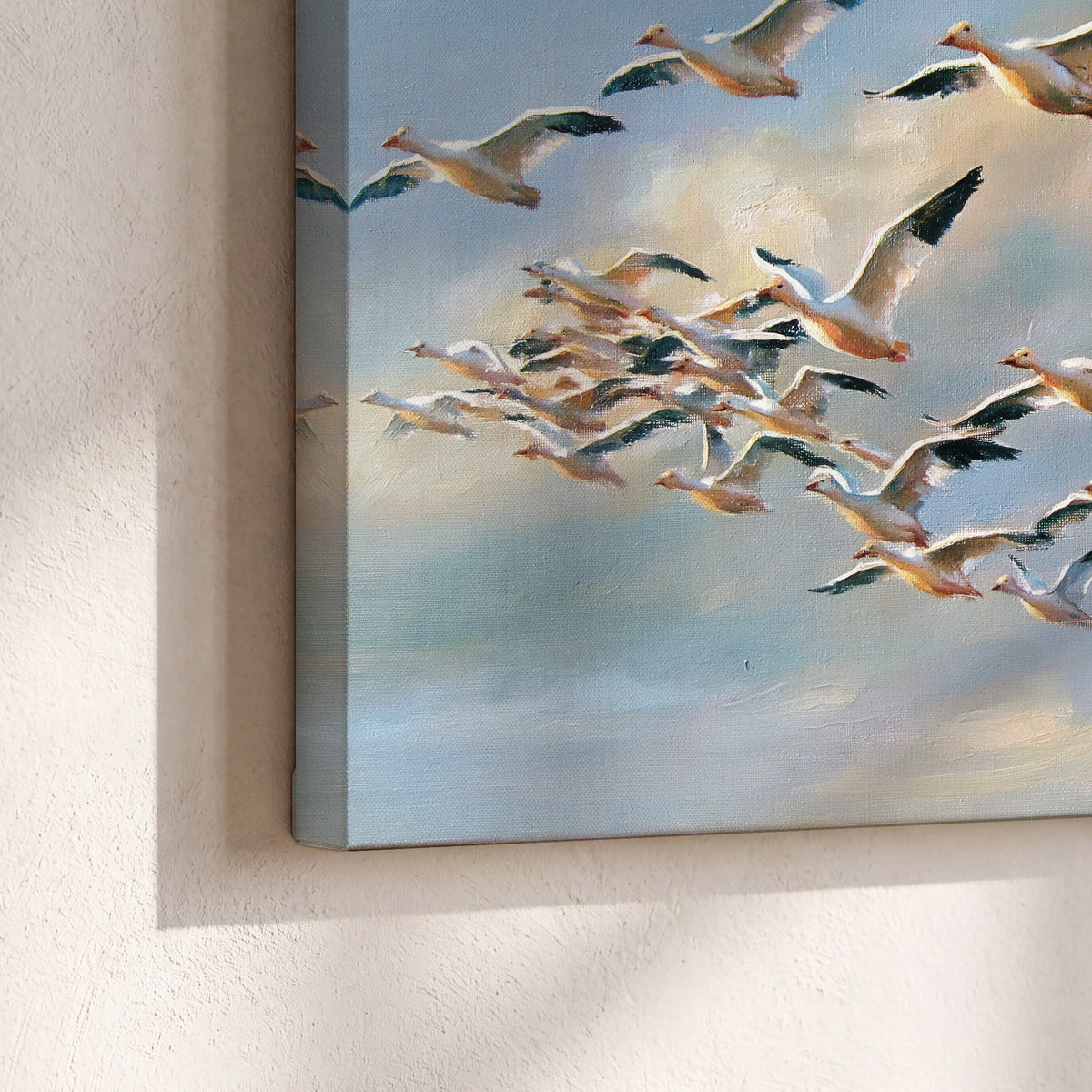 A flock of pale seabirds gliding beneath soft clouds across a blue sky 3 piece canvas wall art material and edge close up