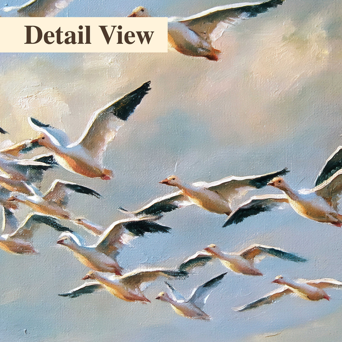 A flock of pale seabirds gliding beneath soft clouds across a blue sky 3 piece canvas wall art artwork detail close up