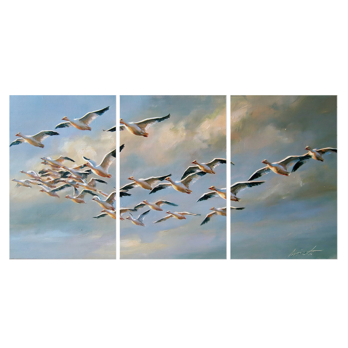 A flock of pale seabirds gliding beneath soft clouds across a blue sky set of 3 poster prints viewed straight on