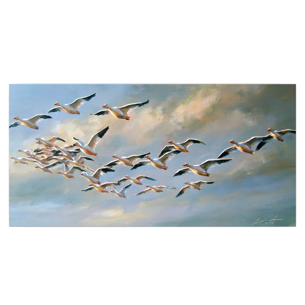 A flock of pale seabirds gliding beneath soft clouds across a blue sky single poster print viewed straight on