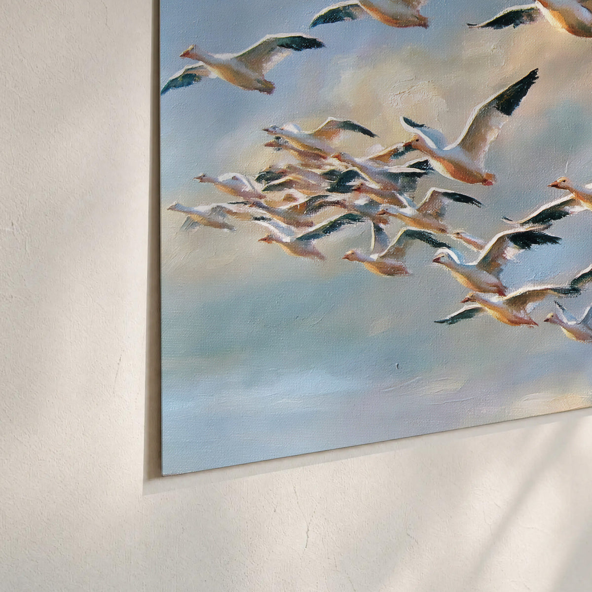 A flock of pale seabirds gliding beneath soft clouds across a blue sky set of 3 poster prints material and edge close up