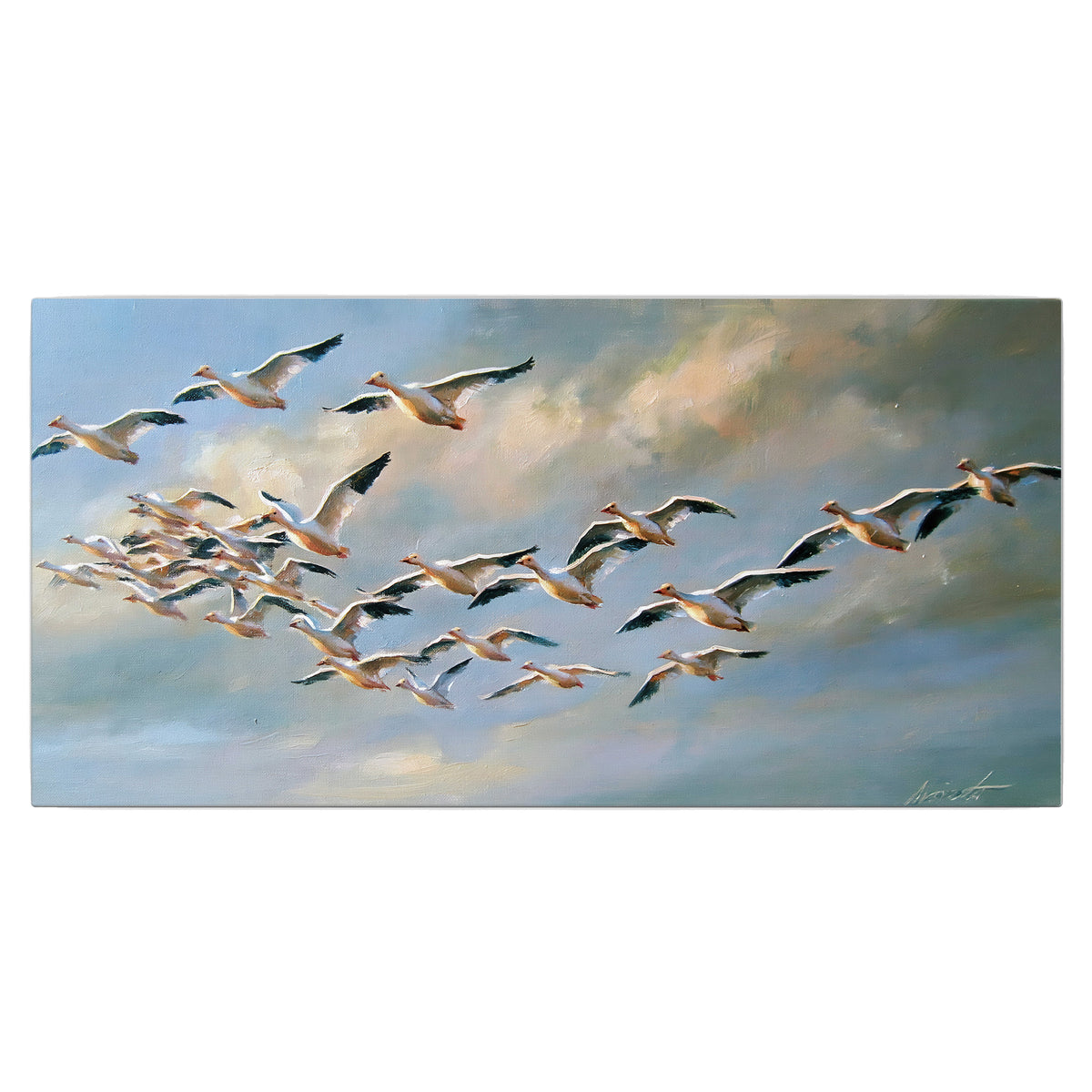 A flock of pale seabirds gliding beneath soft clouds across a blue sky single canvas wall art viewed straight on
