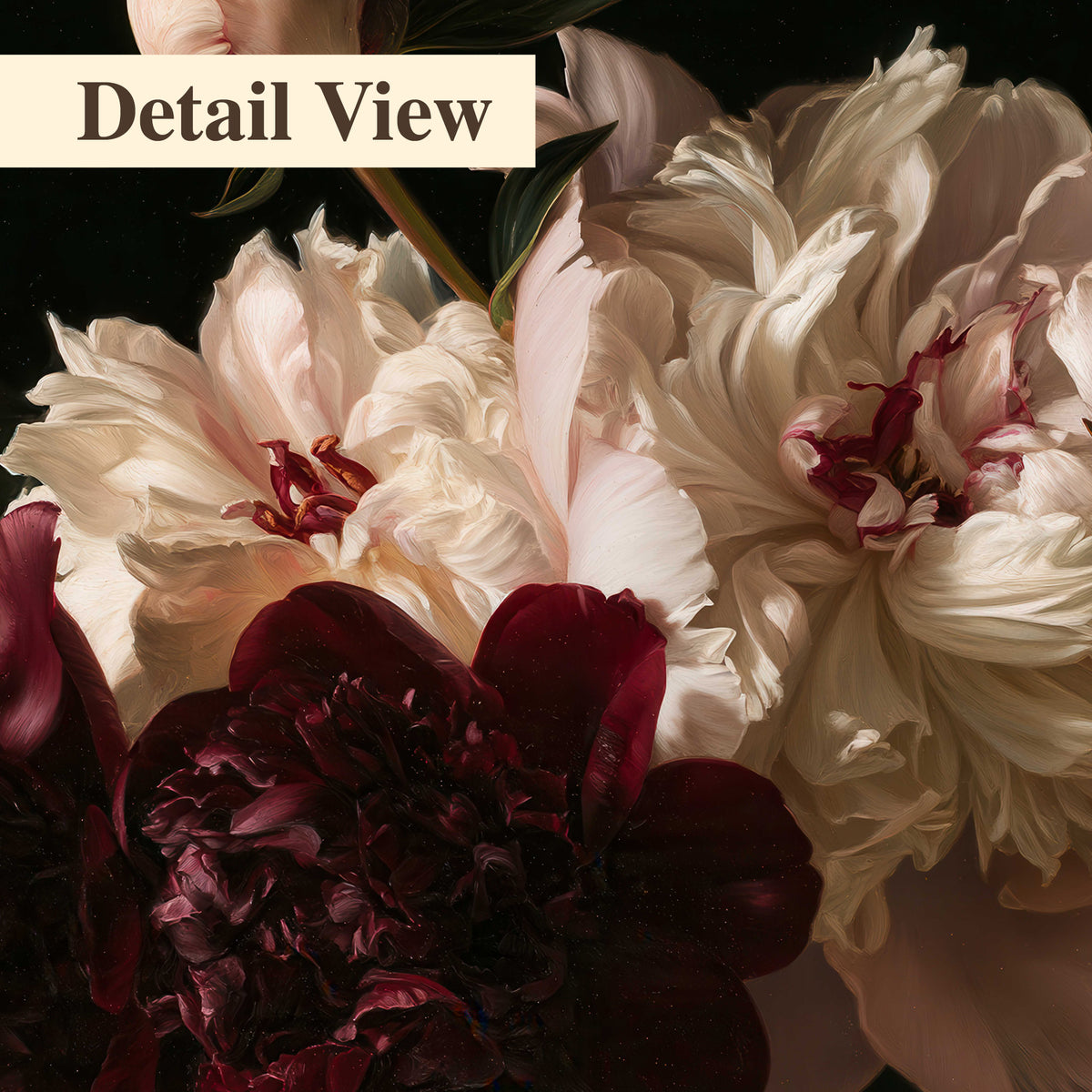 Full ivory and deep burgundy peonies against a dark green background 3 piece canvas wall art artwork detail close up