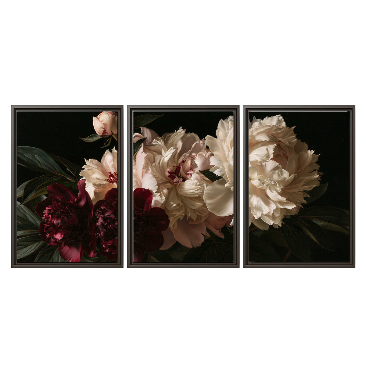 Full ivory and deep burgundy peonies against a dark green background 3 piece framed canvas wall art viewed straight on