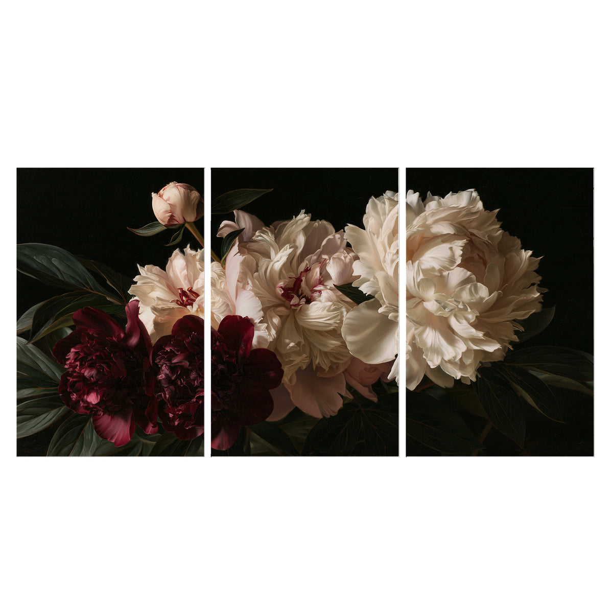 Full ivory and deep burgundy peonies against a dark green background set of 3 poster prints viewed straight on