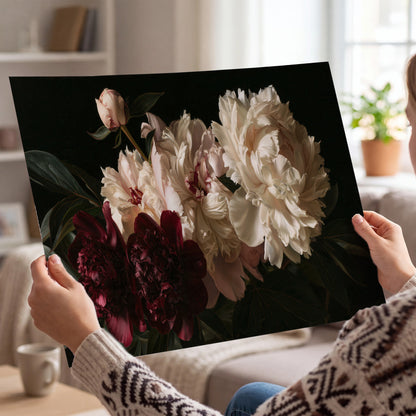 Full ivory and deep burgundy peonies against a dark green background single poster print held in hands