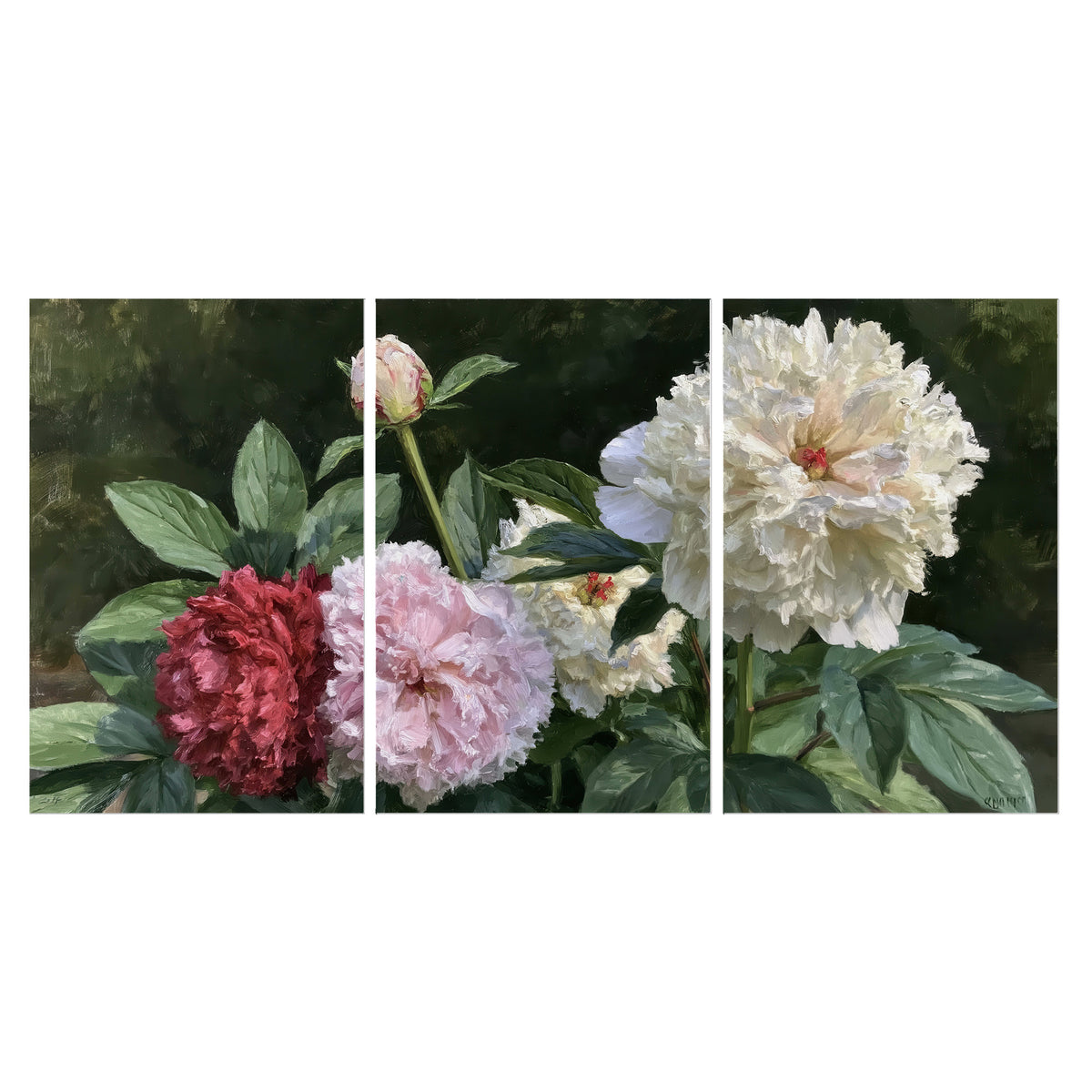 Cream, blush and red peonies surrounded by fresh green leaves set of 3 poster prints viewed straight on