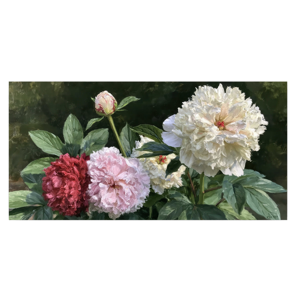 Cream, blush and red peonies surrounded by fresh green leaves single poster print viewed straight on