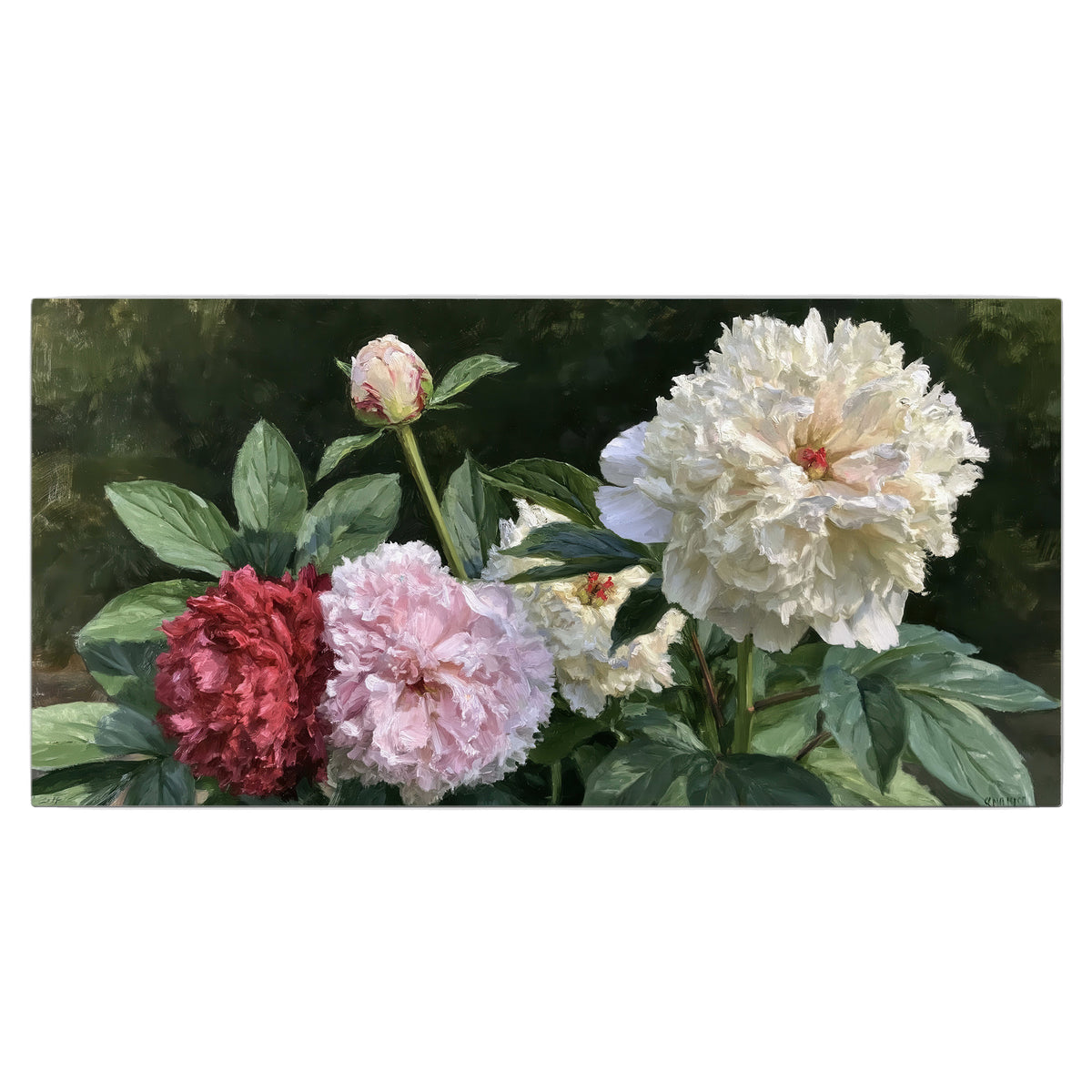 Cream, blush and red peonies surrounded by fresh green leaves single canvas wall art viewed straight on