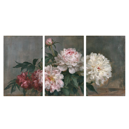 Cream and dusty pink peonies arranged against a muted gray-green background 3 piece canvas wall art viewed straight on