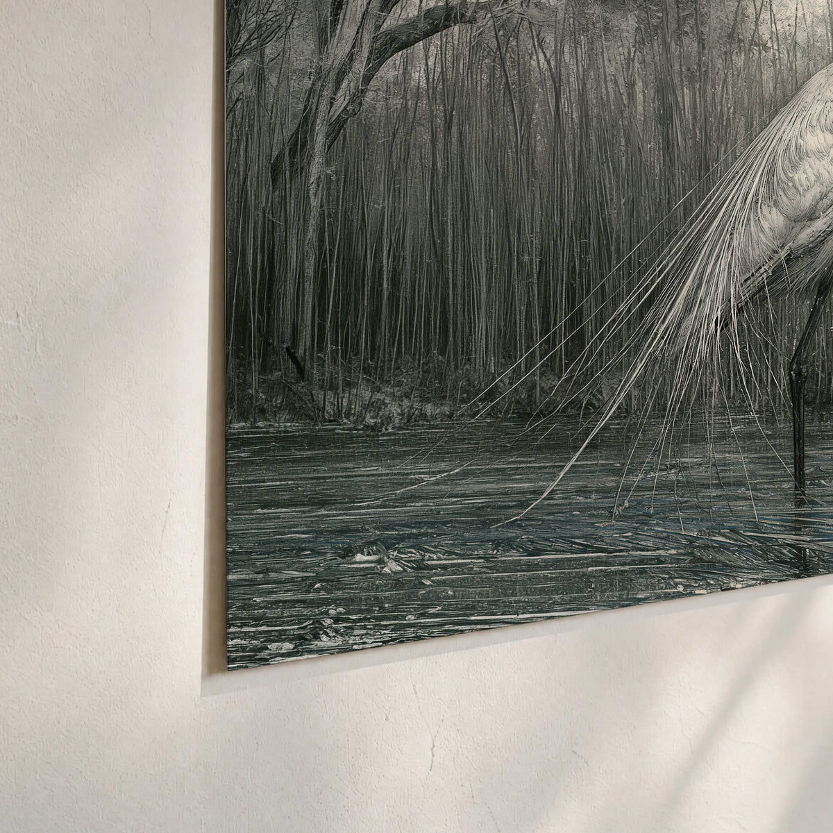 A pale long-legged heron standing beside tall reeds in a muted gray-green wetland set of 3 poster prints material and edge close up