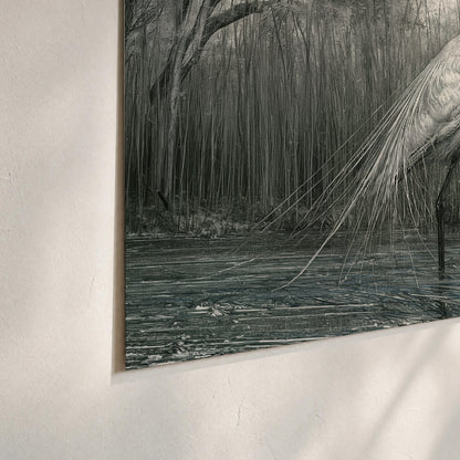 A pale long-legged heron standing beside tall reeds in a muted gray-green wetland set of 3 poster prints material and edge close up