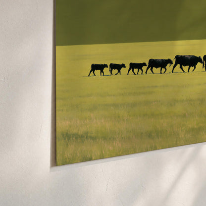 A rider leading a long line of cattle across a wide green and golden plain set of 3 poster prints material and edge close up